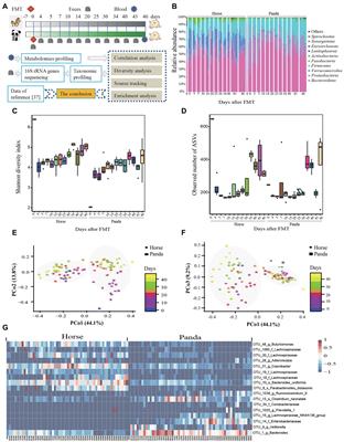 Evaluating a potential model to analyze the function of the gut microbiota of the giant panda